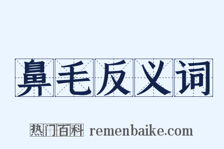 鼻毛反义词是什么意思的图片
